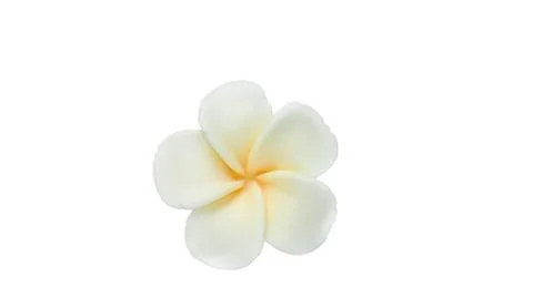 Isolated hand made soap in the shape of flower on white background. Stock Photos