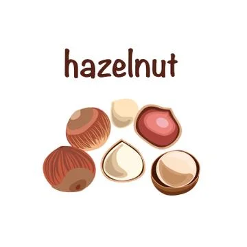 Isolated hazelnut on white background. Stock Illustration