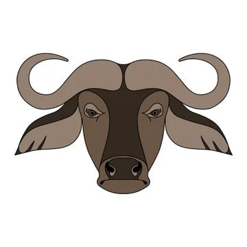 Isolated head of buffalo on white background. Colored cartoon face portrait. Stock Illustration