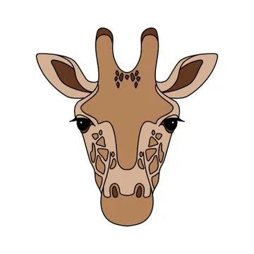 Isolated head of giraffe on white background. Colored cartoon face portrait. Stock Illustration