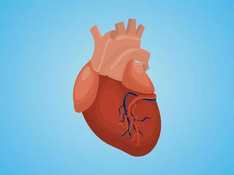 Isolated heart with real style vector and blue background Stock Illustration