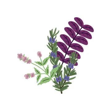 Isolated herbs bunch Stock Illustration