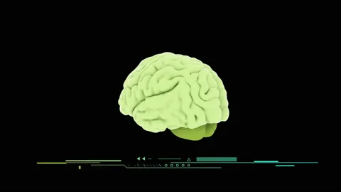 Isolated human brain rotating on a black background Stock-Footage 168619953