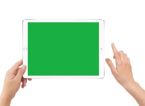 Isolated human left hand holding green screen white tablet computer Stock Illustration