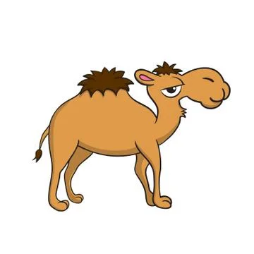 Isolated illustration of a camel Stock Illustration