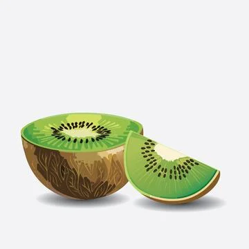 Isolated illustration of Kiwi fruit slice EPS Vector Illustrazione stock