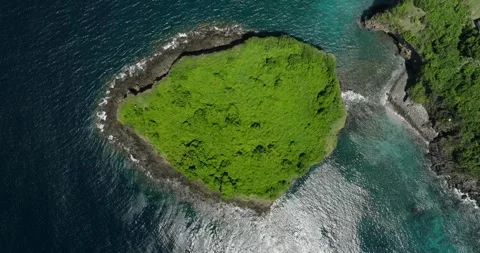 Isolated island with lush greenery surrounded by water and fluvial landforms Vídeo Stock 274524021