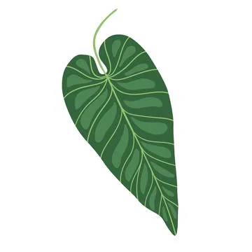 Isolated Jungle Leaf Illustrazione stock