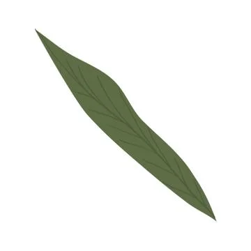 Isolated leaf icon vector design Stock Illustration