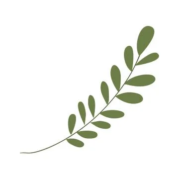 Isolated leaf icon vector design 스톡 일러스트