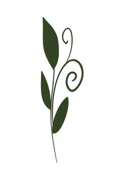 Isolated leaf icon vector design 스톡 일러스트