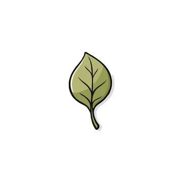 Isolated leaf illustration evokes themes of nature spring growth vitality a.. Stock Illustration