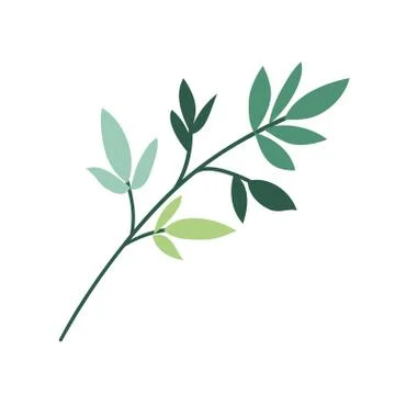 Isolated leaf plant vector design 스톡 일러스트