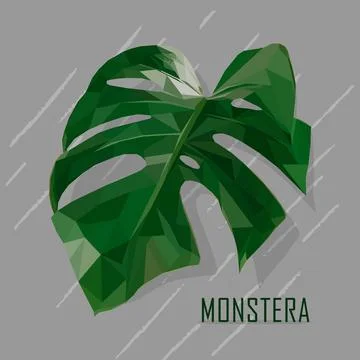 Isolated leave of monstera in low poly style. Illustrazione stock