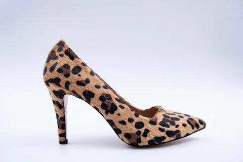 Isolated leopard pattern women's high heels stiletto pumps shoes Stock Photos