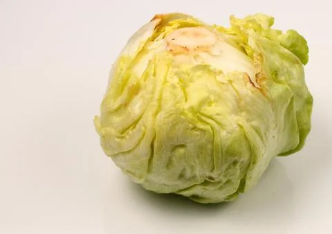 Isolated lettuce head Stock Photos