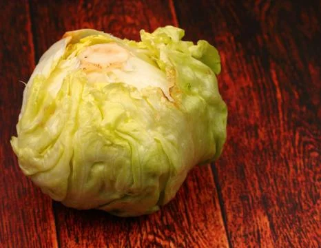 Isolated lettuce head Stock Photos