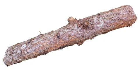 Isolated Log On A White Background Stock-Fotos