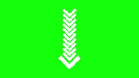 Isolated Logo on Transparent Background Video stock 343928749