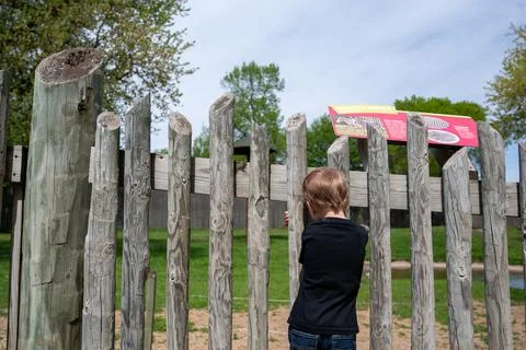 Isolated lost child looking through a wooden fence. Fotos Stock