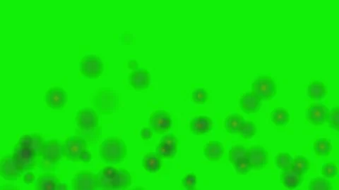 Isolated lot element on chroma key green screen background with natural Stock-Footage 337047440