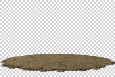 An isolated, low-angle view of an oval-shaped patch of dry, sparse yellowis Stock Photos