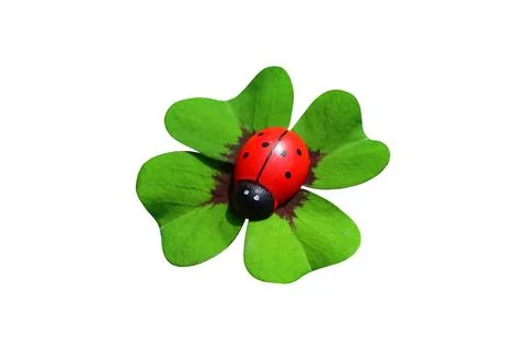 An isolated lucky clover Stock Photos
