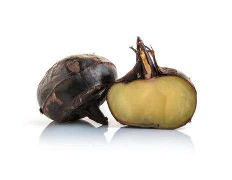 Isolated macro image of water chestnut 写真素材