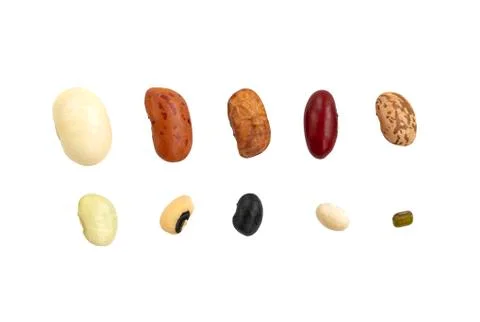 Isolated macro varieties of beans 스톡 사진