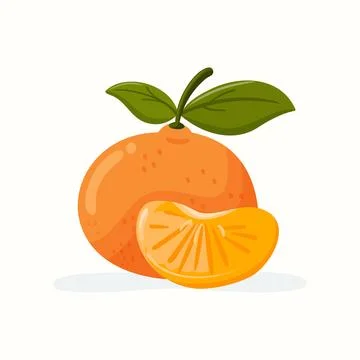 Isolated mandarin orange fruit vector illustration with slice Stock Illustration