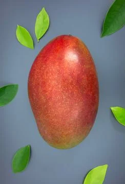 Isolated mango fruit and green leaves on grey background. Stock Photos