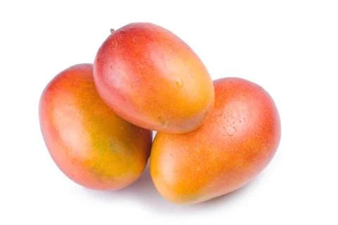 Isolated mango fruit 스톡 사진
