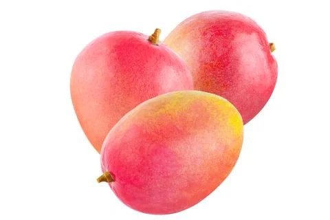 Isolated mango on white Stock Photos