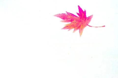 Isolated maple leaf painted on concrete 写真素材