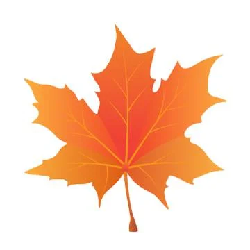 Isolated maple leave.Maple leaves in autumn. Vector EPS 10. Illustrazione stock