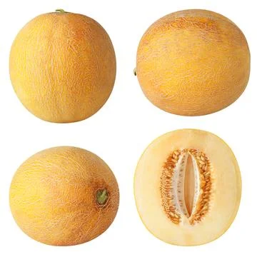 Isolated melon collection. Yellow melon fruit isolated on white background, with Stock Photos