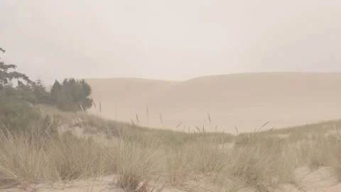 Isolated misty sandy dunes park area Stock Footage 342316121