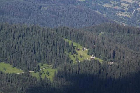 Isolated monastery in pine forest in Romania Stock Photos