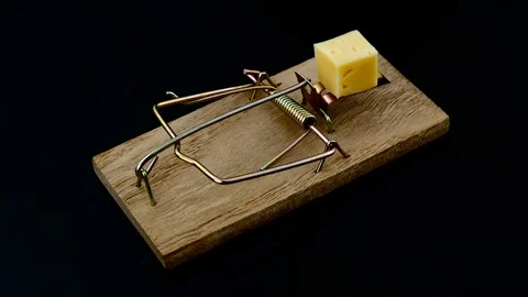 Isolated mouse trap with cheese on the black background Stock Footage 92203240