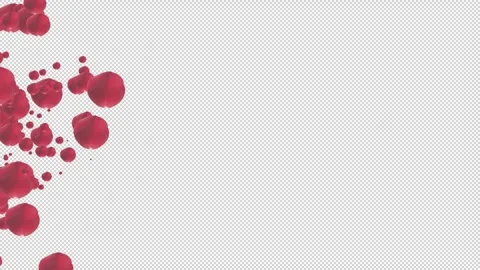 Isolated movement of leafy petals from the left on a transparent background Vídeo Stock 321007037