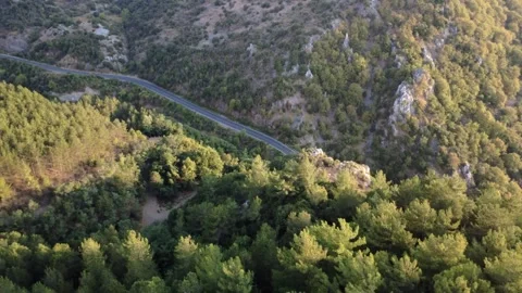 Isolated national road through pine forest with rugged mountains at sunset. 動画素材 322129064