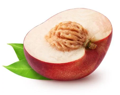 Isolated nectarine. Half of nectarine fruit with leaves isolated on white Stock Photos