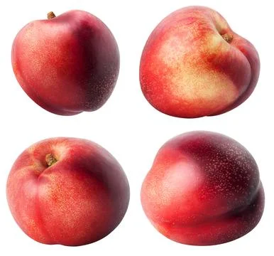 Isolated nectarines. Collection of different nectarine fruits isolated on white Stock Photos