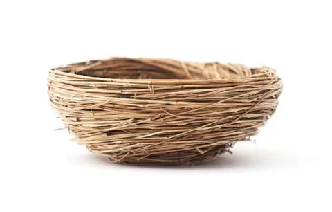 Isolated nest Foto stock
