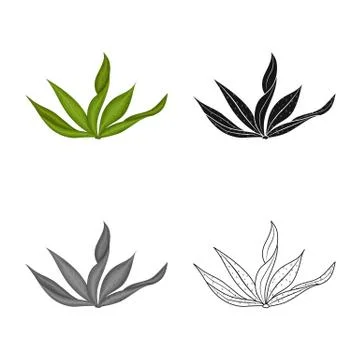 Isolated object of algae and healthy logo. Set of algae and aquarium vector icon Stock-Illustration