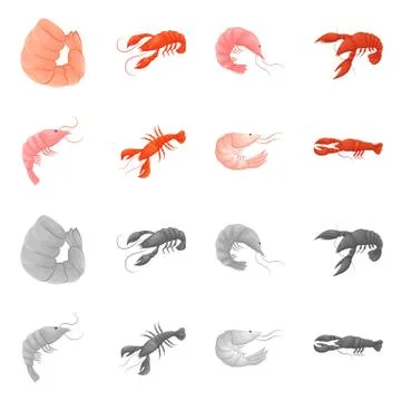 Isolated object of appetizer and ocean sign. Set of appetizer and delicacy stock Stock Illustration