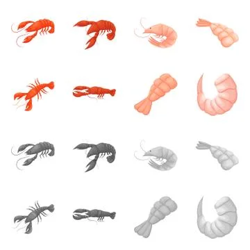 Isolated object of appetizer and ocean icon. Set of appetizer and delicacy stock Stock Illustration