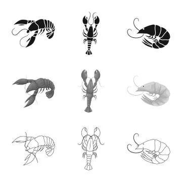 Isolated object of appetizer and ocean sign. Set of appetizer and delicacy Stock Illustration