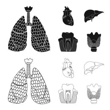 Isolated object of body and human logo. Collection of body and medical stock Stock Illustration