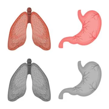 Isolated object of body and human symbol. Collection of body and medical vector Stock Illustration